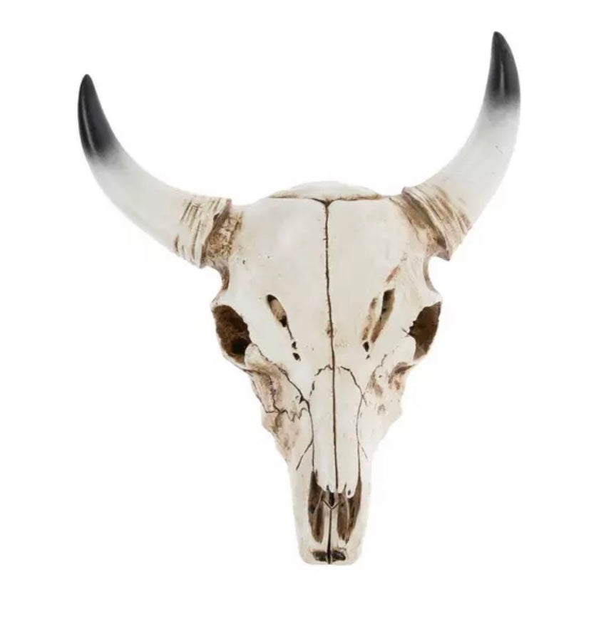 Custom Mini Steer Skull